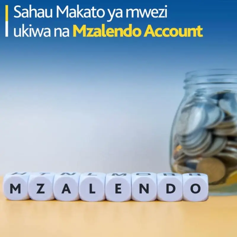 Mzalendo Account